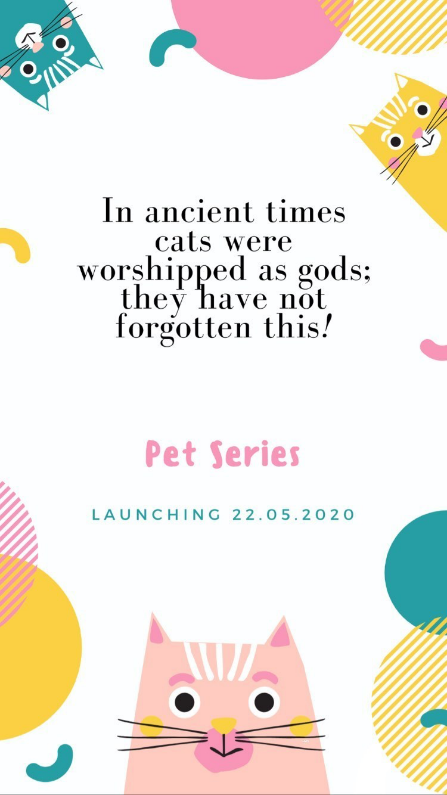 A close up of text on a white background
Description automatically generated