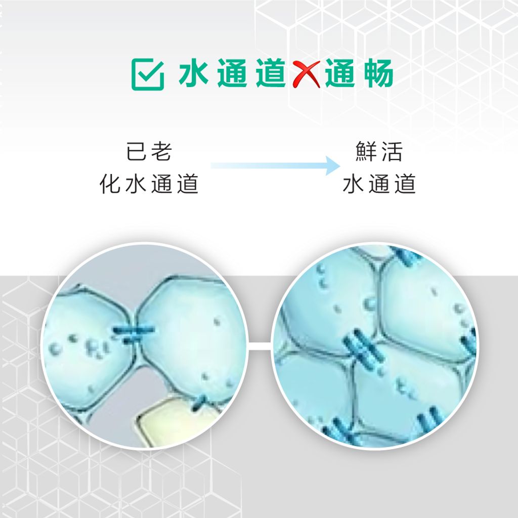 FB-1+2--Intensive-Clarifying-Plant-Extract-006