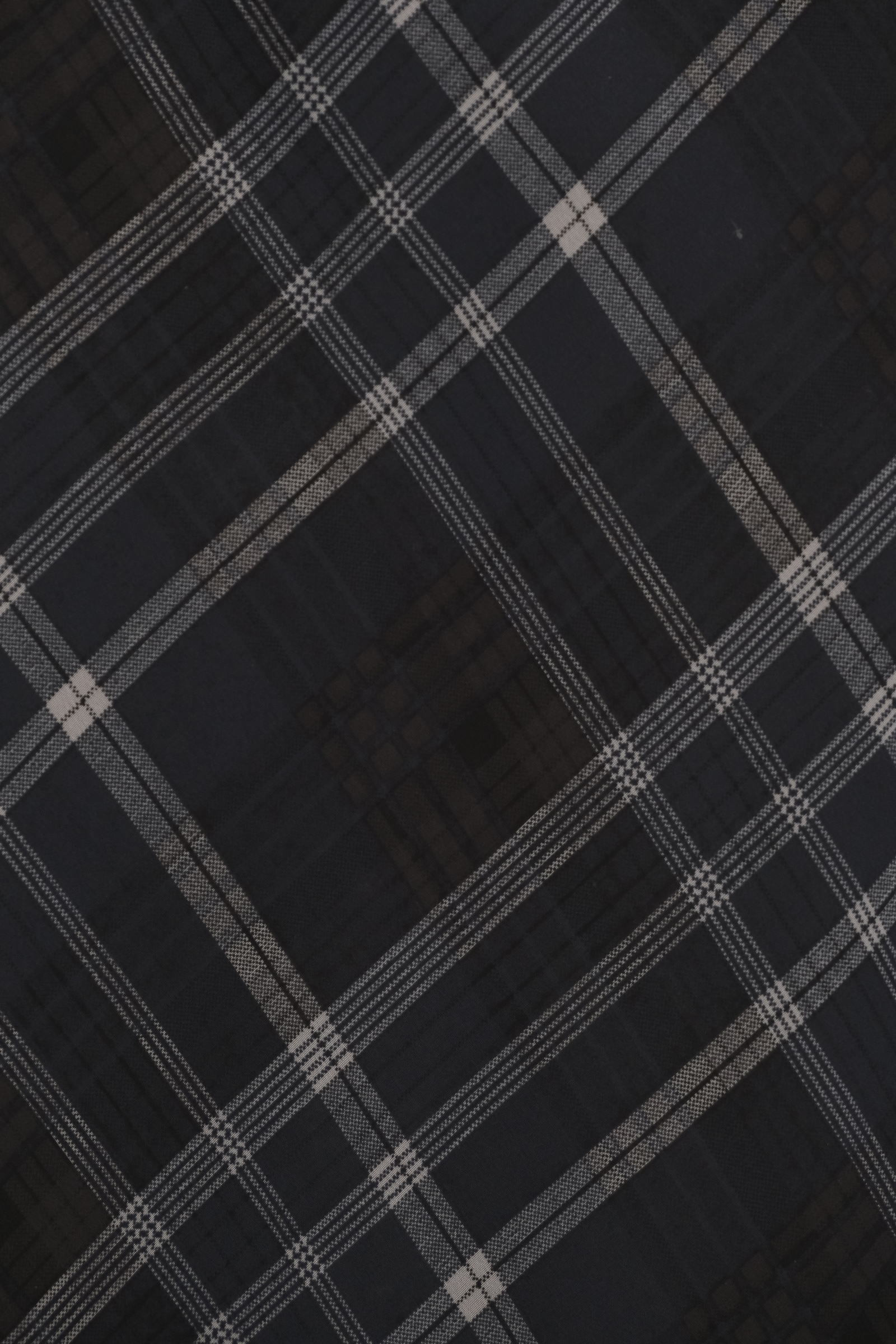DSCF8129