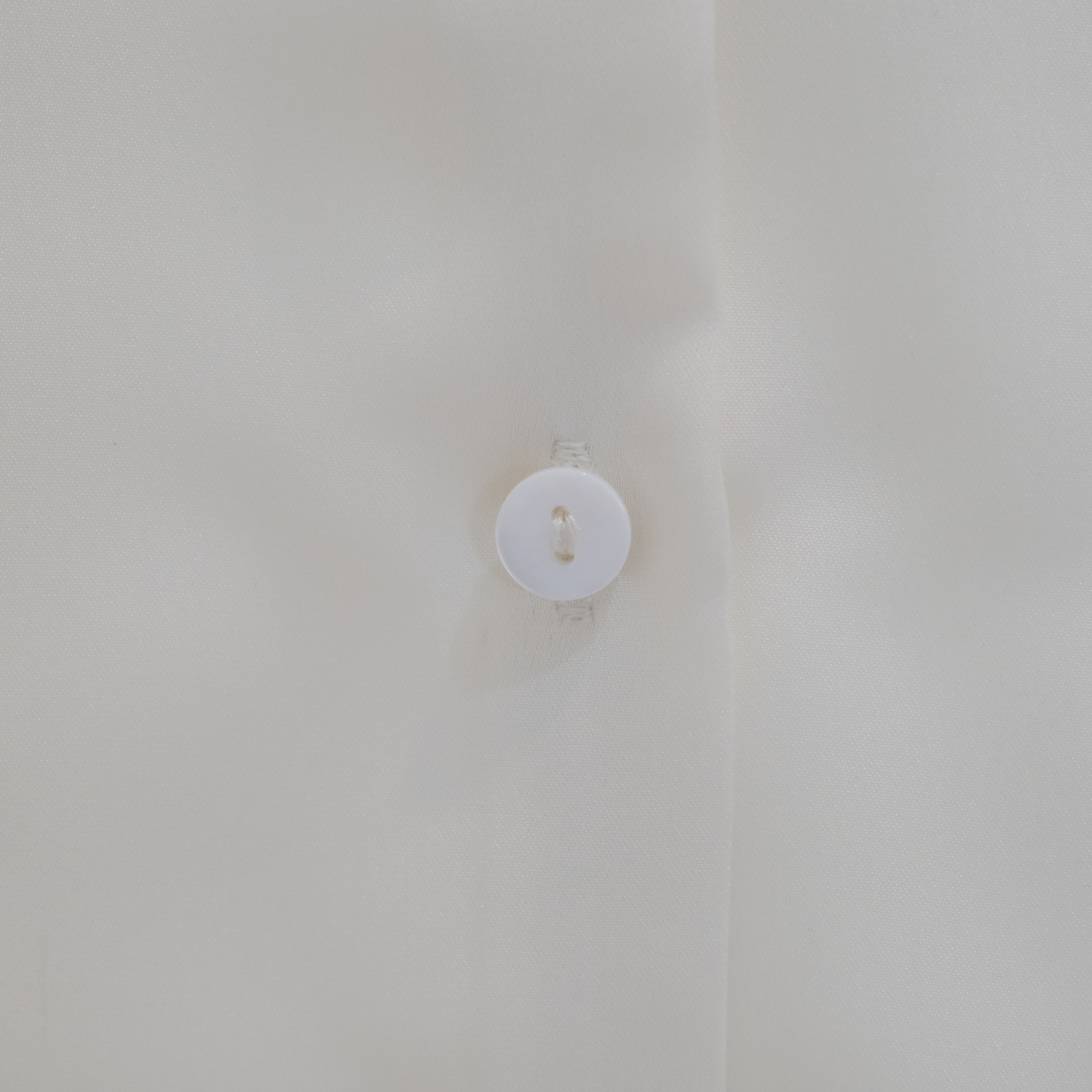 DSCF8575