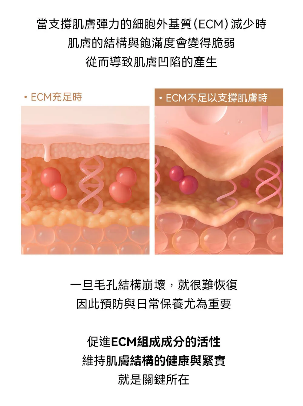JuzBeauty-JuzBeautyMalaysia-JuzPretty-Authentic-Kbeauty-Malaysia-Skin-Care-Cosmetics-Jbeauty-Health-Care-korean-streetwear-SUNGBOON EDITOR x POKEMON Green Tomato NMN Pore Hydro Soothing Toner Set 绿番茄NMN毛孔水润爽肤水套盒14