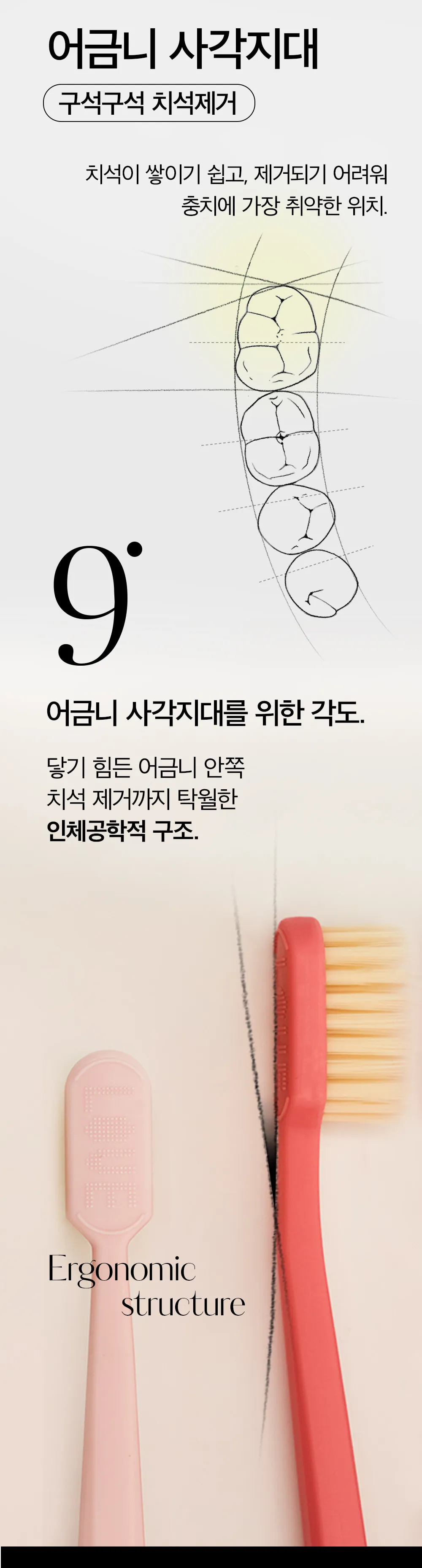 JuzBeauty-JuzBeautyMalaysia-JuzPretty-Authentic-Kbeauty-Malaysia-Skin-Care-Cosmetics-Jbeauty-Health-Care-korean-streetwear-hetras Premium Scaling Toothbrush 油漆桶牙刷4