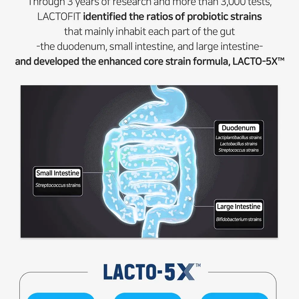 JuzBeauty_JuzBeautyMalaysia_JuzPretty_Authentic_Kbeauty_Malaysia_Skin_Care_Cosmetics_K-beauty_Health_Care_korean_streetwear_LACTO-FIT We Care Dual Stomach & Gut Probiotics LACTOFIT 双效护胃益生菌28