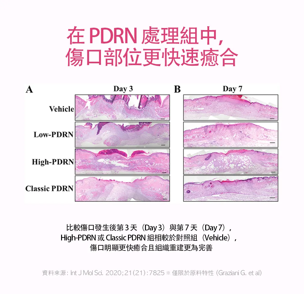 JuzBeauty_JuzBeautyMalaysia_JuzPretty_Authentic_Kbeauty_Malaysia_Skin_Care_Cosmetics_K-beauty_Health_Care_korean_streetwear_BBAGIO PDRN White Tomato Drink PDRN 水晶番茄口服液12