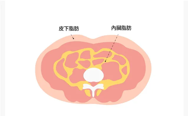 JuzBeauty_JuzBeautyMalaysia_JuzPretty_Authentic_Kbeauty_Malaysia_Skin_Care_Cosmetics_K-beauty_Health_Care_korean_streetwear_FOODOLOGY Coleology Smooth Bowel Jelly 紫色顺畅纤体果冻3