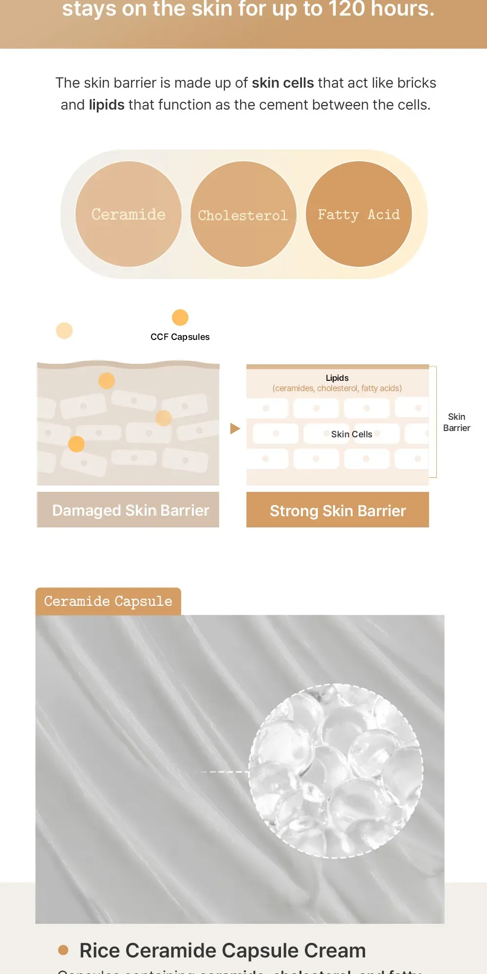 JuzBeauty_JuzBeautyMalaysia_JuzPretty_Authentic_Kbeauty_Malaysia_Skin_Care_Cosmetics_K-beauty_Health_Care_korean_streetwear_FULLY Rice Ceramide Capsule Cream 大米胶囊保湿面霜 5