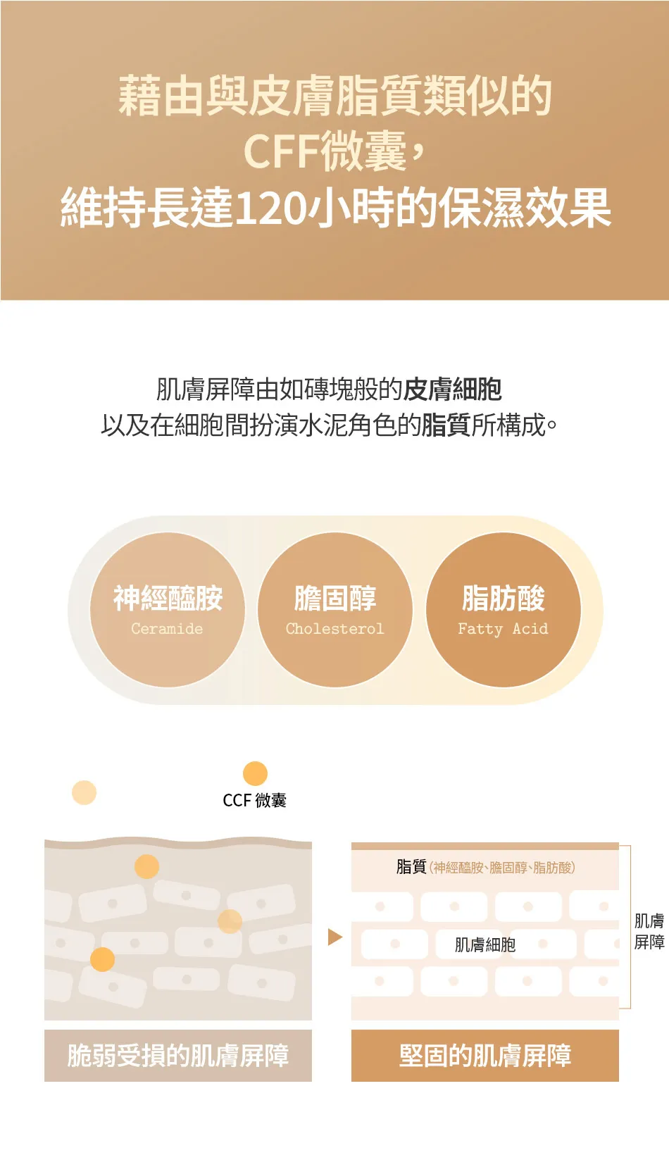 JuzBeauty_JuzBeautyMalaysia_JuzPretty_Authentic_Kbeauty_Malaysia_Skin_Care_Cosmetics_K-beauty_Health_Care_korean_streetwear_FULLY Rice Ceramide Capsule Cream 大米胶囊保湿面霜 5