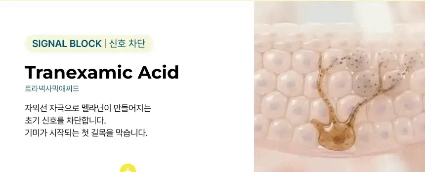 JuzBeauty_JuzBeautyMalaysia_JuzPretty_Authentic_Kbeauty_Malaysia_Skin_Care_Cosmetics_K-beauty_Health_Care_korean_streetwear_DRREJUGENE Hyper-infusion Mela-4X DR REJUGENE 高效焕活淡斑面霜20
