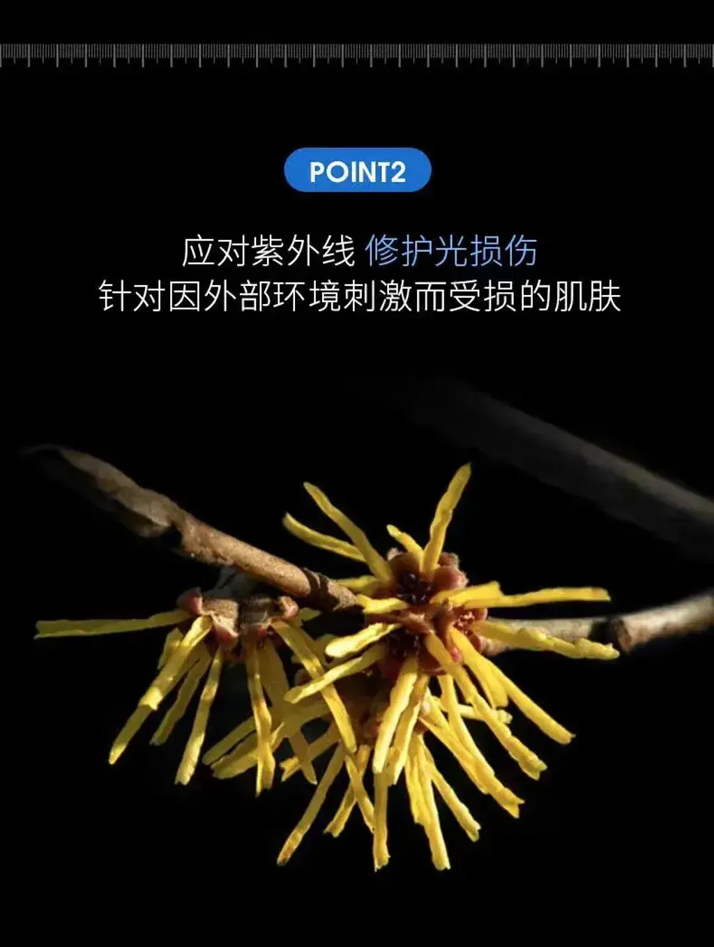 JuzBeauty_JuzBeautyMalaysia_JuzPretty_Authentic_Kbeauty_Malaysia_Skin_Care_Cosmetics_K-beauty_Health_Care_korean_streetwear_LEFILLEO Cellbiome Exo Cooling Mask 外泌体冷却面膜 冰皮18