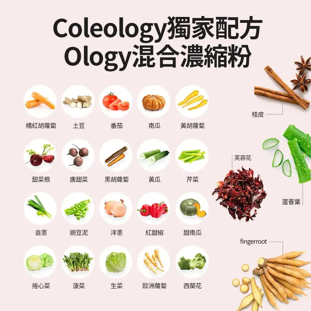 JuzBeauty_JuzBeautyMalaysia_JuzPretty_Authentic_Kbeauty_Malaysia_Skin_Care_Cosmetics_K-beauty_Health_Care_korean_streetwear_FOODOLOGY Coleology Cut Pro 自燃管理小紅瓶 PRO8