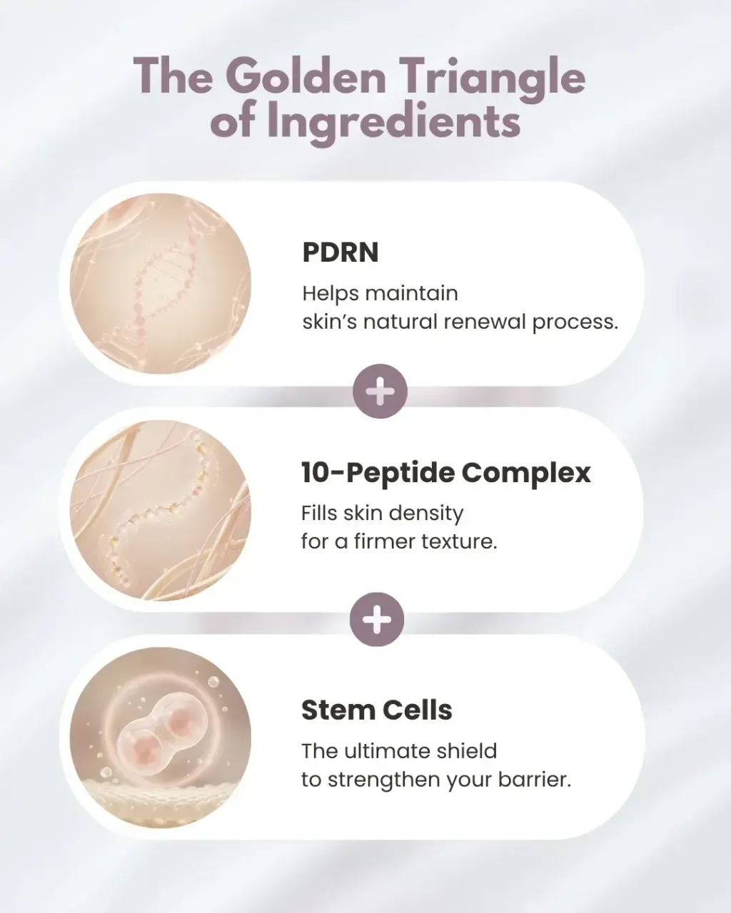 JuzBeauty_JuzBeautyMalaysia_JuzPretty_Authentic_Kbeauty_Malaysia_Skin_Care_Cosmetics_K-beauty_Health_Care_korean_streetwear_PRETTYSKIN PDRN TX1 Perfect Fit Rejual Stem Cell Cream PRETTY SKIN 粉PDRN干细胞面霜10