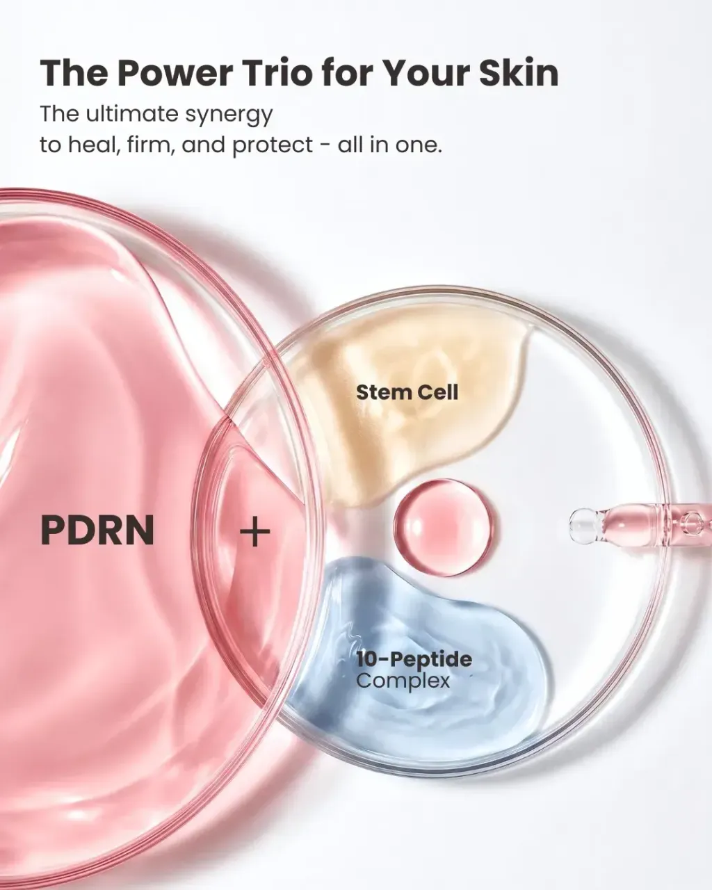 JuzBeauty_JuzBeautyMalaysia_JuzPretty_Authentic_Kbeauty_Malaysia_Skin_Care_Cosmetics_K-beauty_Health_Care_korean_streetwear_PRETTYSKIN PDRN TX1 Perfect Fit Rejual Stem Cell Cream PRETTY SKIN 粉PDRN干细胞面霜9
