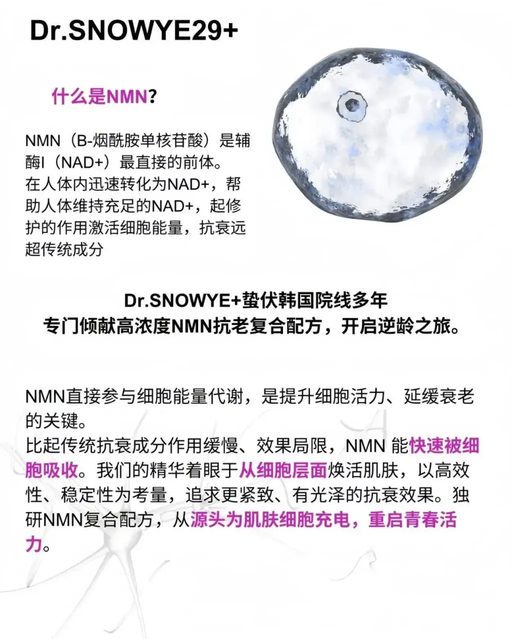 JuzBeauty_JuzBeautyMalaysia_JuzPretty_Authentic_Kbeauty_Malaysia_Skin_Care_Cosmetics_K-beauty_Health_Care_korean_streetwear_DR. SNOWYE29+ NMN Anti-Aging & Wrinkle Care Booster Ampoule NMN抗老抗皱安瓶3