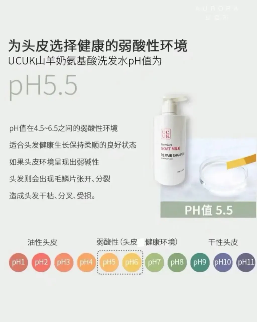 JuzBeauty_JuzBeautyMalaysia_JuzPretty_Authentic_Kbeauty_Malaysia_Skin_Care_Cosmetics_K-beauty_Health_Care_korean_streetwear_UCUK Premium Goat Milk Repair Shampoo 牛油果山羊奶洗发水