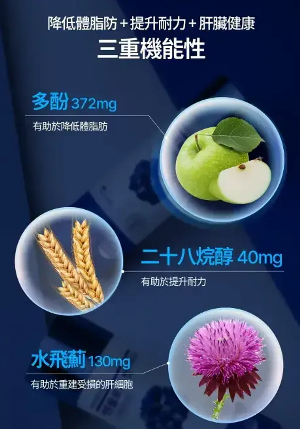 JuzBeauty_JuzBeautyMalaysia_JuzPretty_Authentic_Kbeauty_Malaysia_Skin_Care_Cosmetics_K-beauty_Health_Care_korean_streetwear_FOODOLOGY Manology Cut Pro 男士蓝瓶强效燃脂锭 PRO7