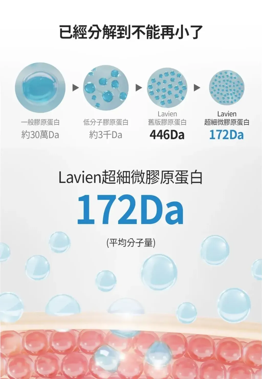 JuzBeauty_JuzBeautyMalaysia_JuzPretty_Authentic_Kbeauty_Malaysia_Skin_Care_Cosmetics_K-beauty_Health_Care_korean_streetwear_LAVIEN Collagen Professional Program 低分子胶原蛋白修护安瓶套盒9