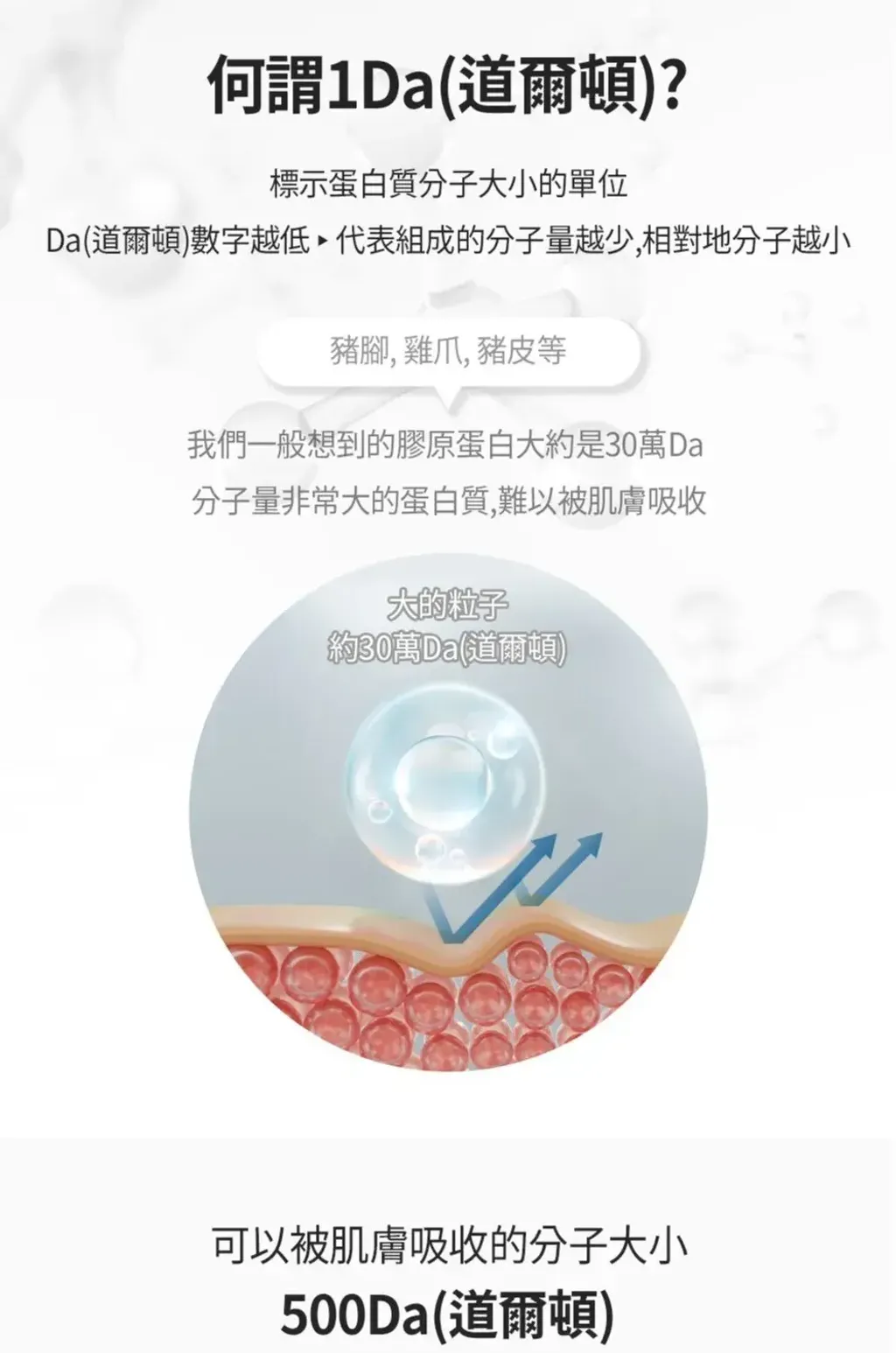 JuzBeauty_JuzBeautyMalaysia_JuzPretty_Authentic_Kbeauty_Malaysia_Skin_Care_Cosmetics_K-beauty_Health_Care_korean_streetwear_LAVIEN Collagen Professional Program 低分子胶原蛋白修护安瓶套盒8