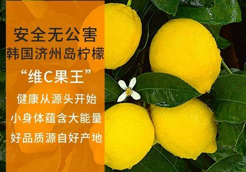 JuzBeauty_JuzBeautyMalaysia_JuzPretty_Authentic_Kbeauty_Jbeauty_Lemona_Vitamin_C_500mg_ (4).jpg