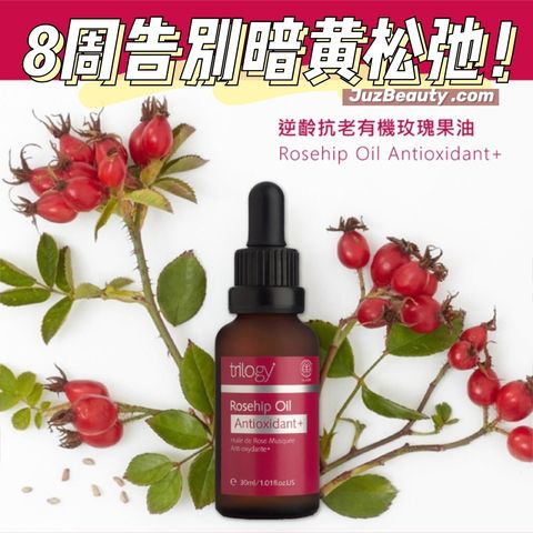 JuzBeauty_JuzBeautyMalaysia_JuzPretty_Authentic_Kbeauty_Malaysia_Jbeauty_Health_Care_Trilogy_Rosehip_Oil_Antioxidant_ (12).jpg