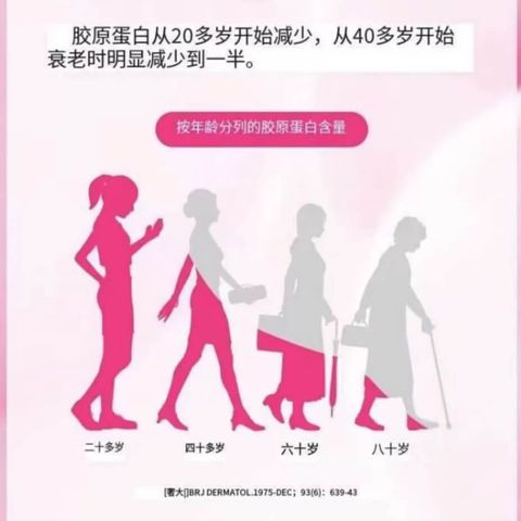 JuzBeauty-JuzBeautyMalaysia-JuzPretty-Authentic-Kbeauty-Malaysia-Skin-Care-Cosmetics-Jbeauty-Health-Care-korean-streetwear-NUTRIONE BB Lab Low Molecular Collagen S 维他命C低分子胶原蛋白S 1