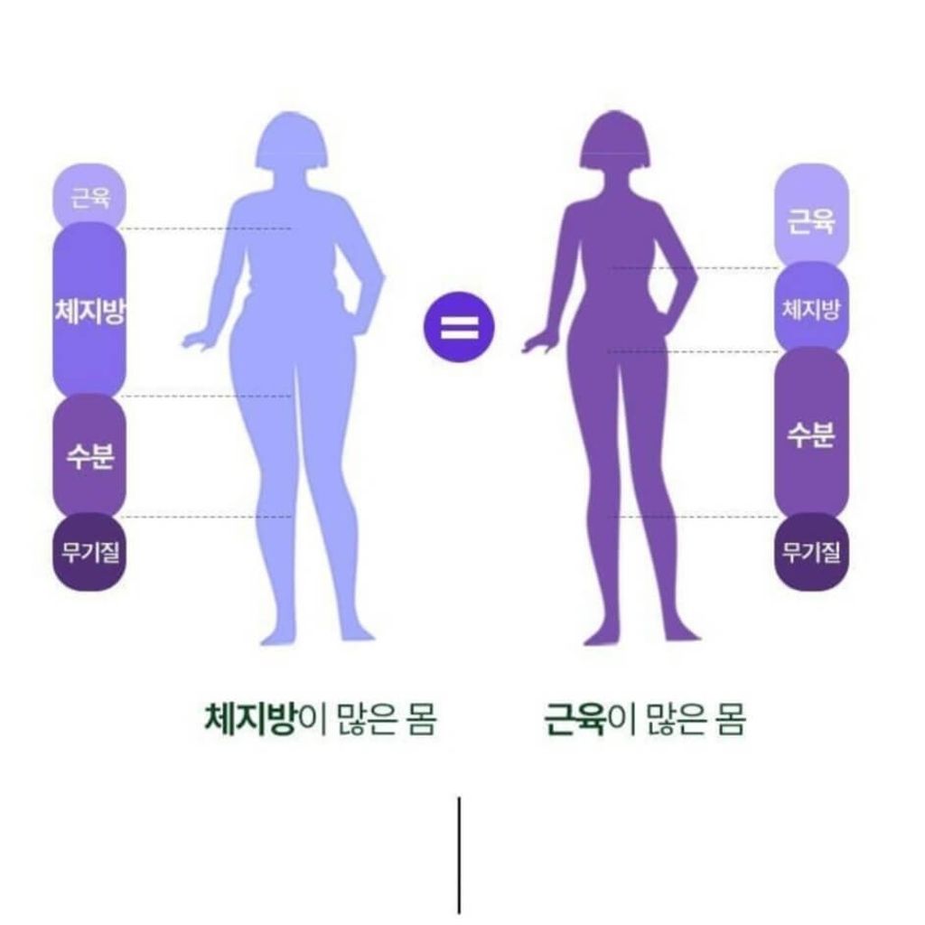 JuzBeauty-JuzBeautyMalaysia-JuzPretty-Authentic-Kbeauty-Malaysia-Skin-Care-Cosmetics-Jbeauty-Health-Care-korean-streetwear-Olive-Young-VITAL BEAUTIE Meta Green Slim Up 30 Days 绿茶丸套盒3