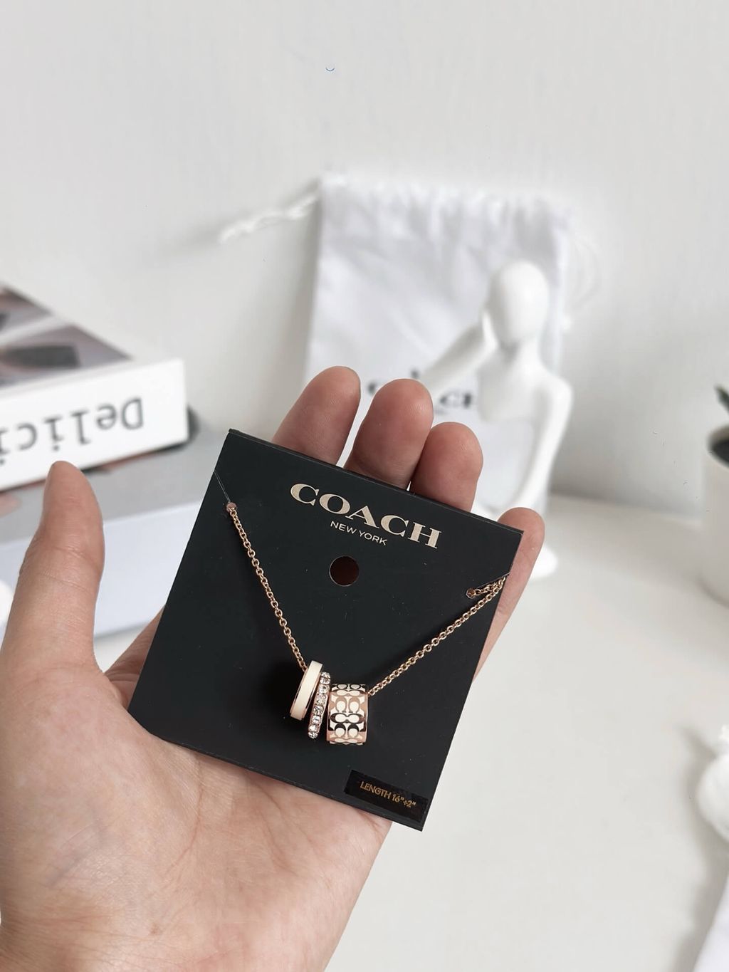 COACH C9446 Signature Enamel Necklace In White Gold 项链3