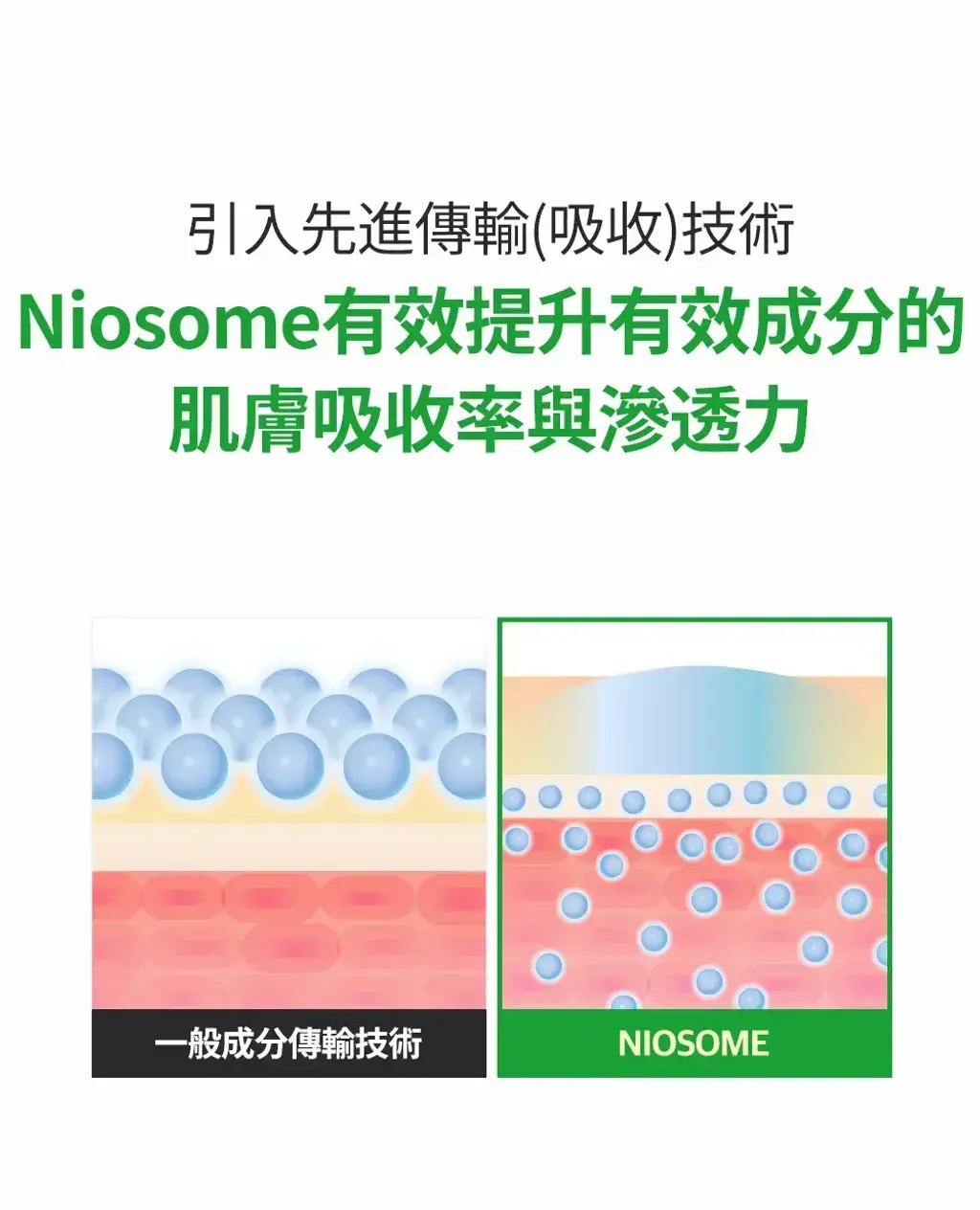 JuzBeauty-JuzBeautyMalaysia-JuzPretty-Authentic-Kbeauty-Malaysia-Skin-Care-Cosmetics-Jbeauty-Health-Care-korean-streetwear-SUNGBOON EDITOR x POKEMON Green Tomato NMN Pore Hydro Soothing Toner Set 绿番茄NMN毛孔水润爽肤水套盒4
