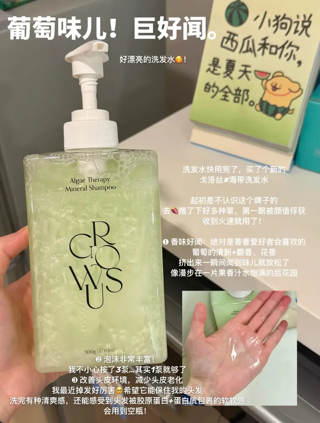 JuzBeauty-JuzBeautyMalaysia-JuzPretty-Authentic-Kbeauty-Malaysia-Skin-Care-Cosmetics-Jbeauty-Health-Care-korean-streetwear-GROWUS Algae Therapy Mineral Shampoo 海葡萄洗发水4