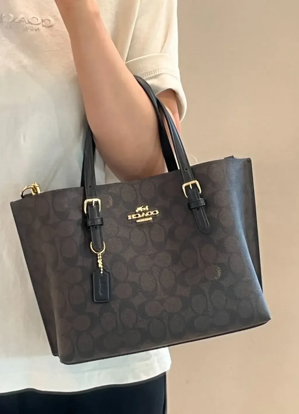 JuzBeauty_JuzBeautyMalaysia_JuzPretty_Authentic_Kbeauty_Malaysia_Skin_Care_Cosmetics_Jbeauty_Health_Care_korean_streetwear_US_Luxury_COACH CV965 Mollie Tote Bag 25 In Signature Canvas In Walnut:Black 托特包7