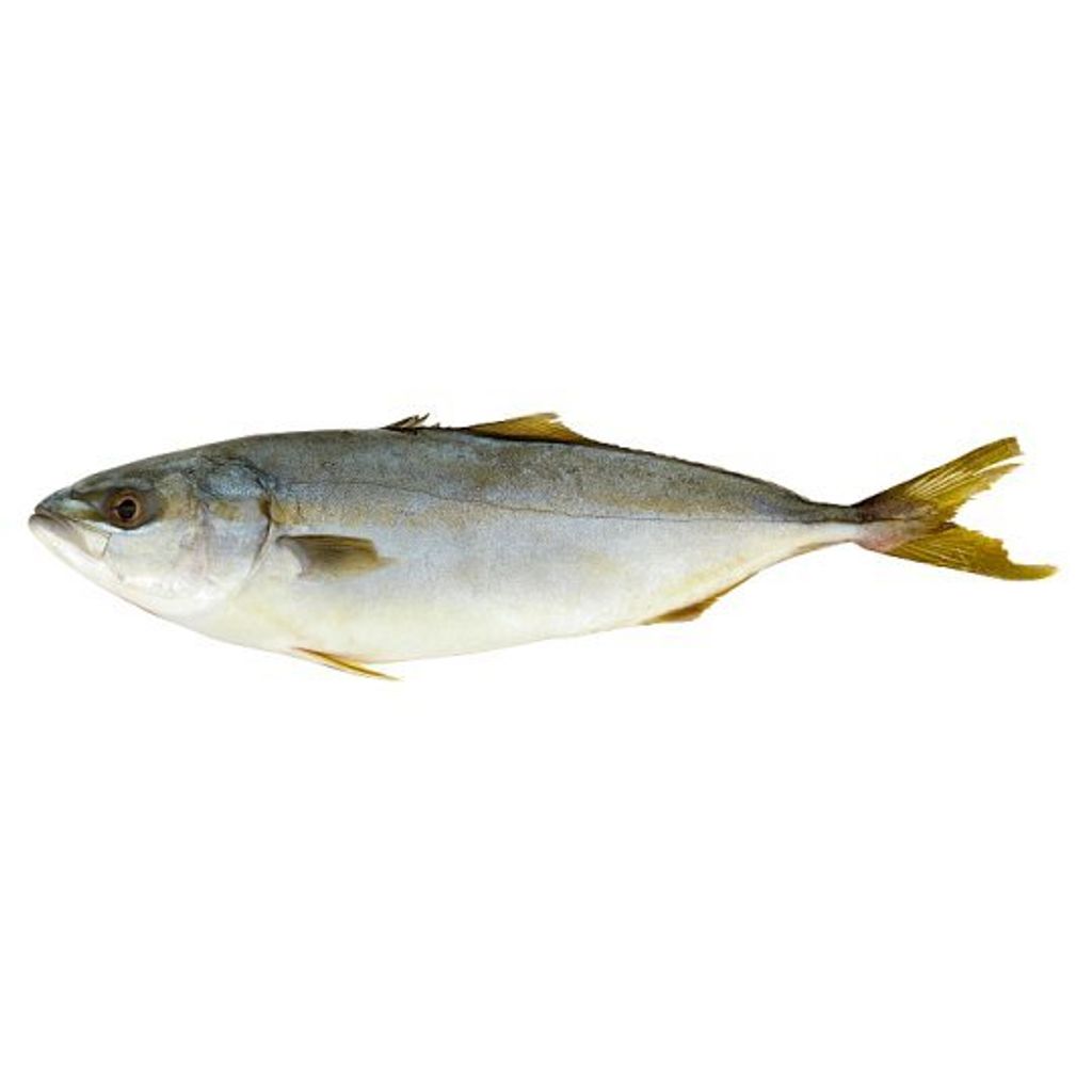 Ikan-Pisang-Yellow-Tail-Fish