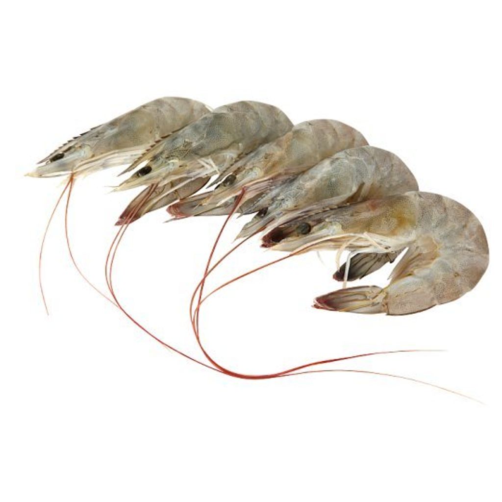 Udang-Sederhana-L-200g