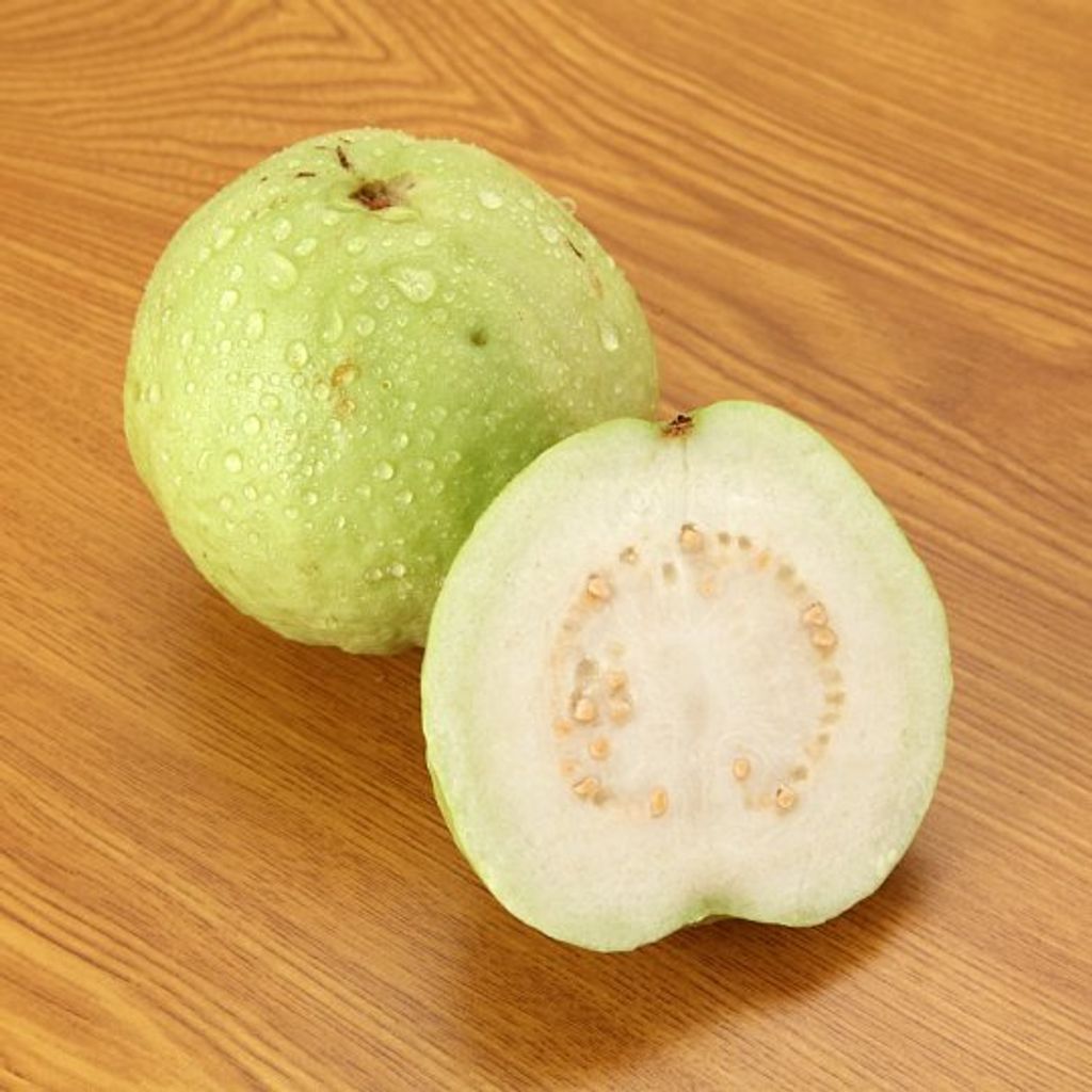 Jambu-Batu-Guava-x-1