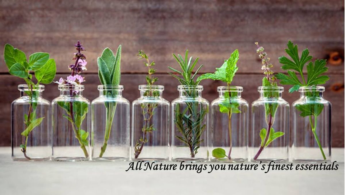 All Nature Origin