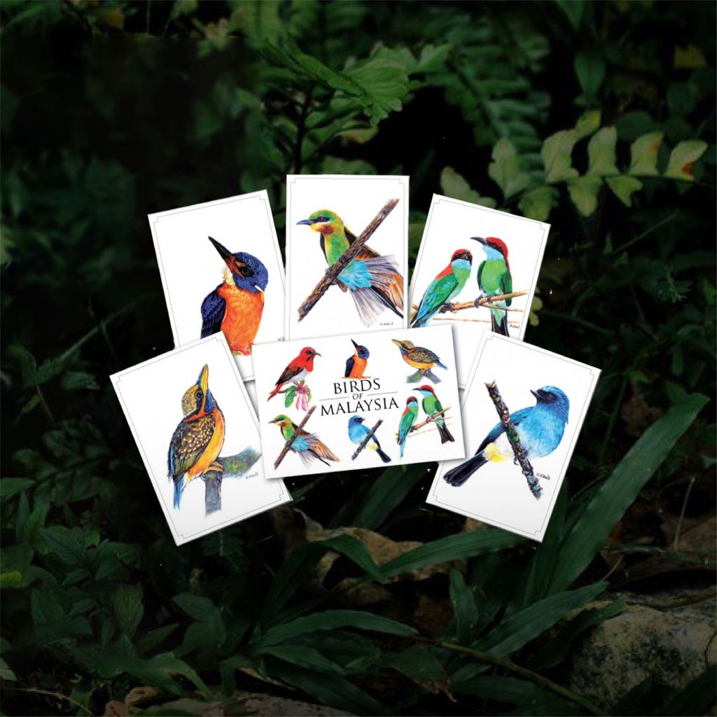New Items_Postcards - Birds.jpg