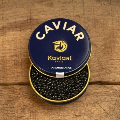 Transmontanus Caviar 1.jpeg