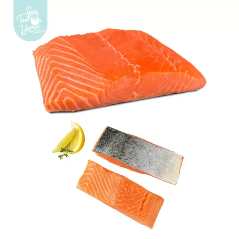 frozen salmon fillet