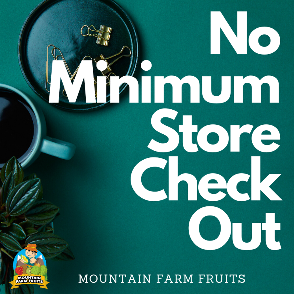 No Minimum Store Check Out.png