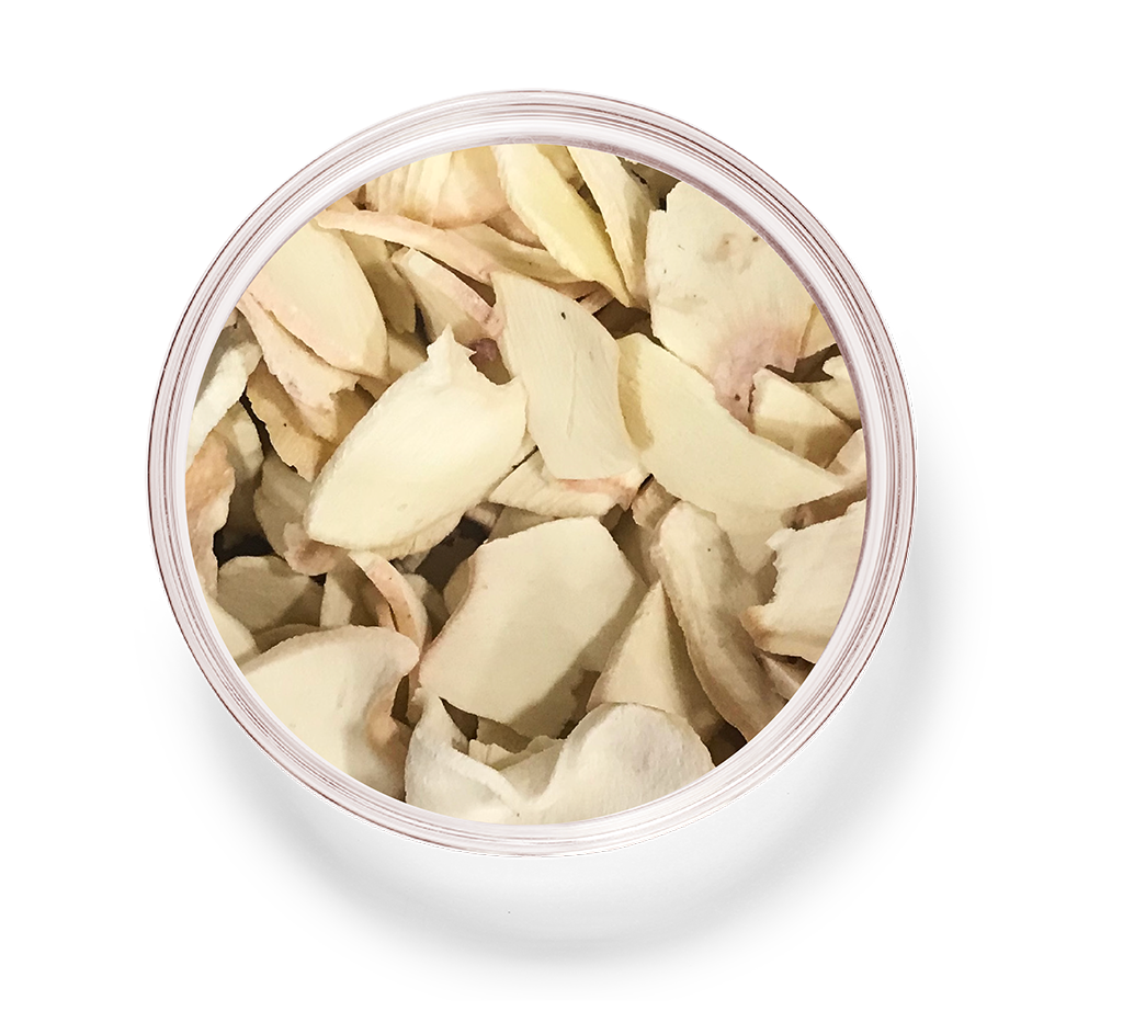 Dried Radishes_4_cuttlefish.png