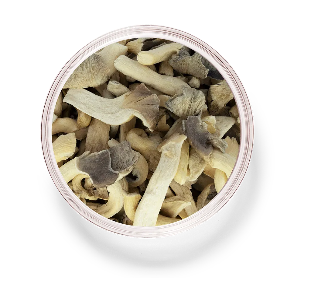 Dried Radishes_8_oyster mushroom.png