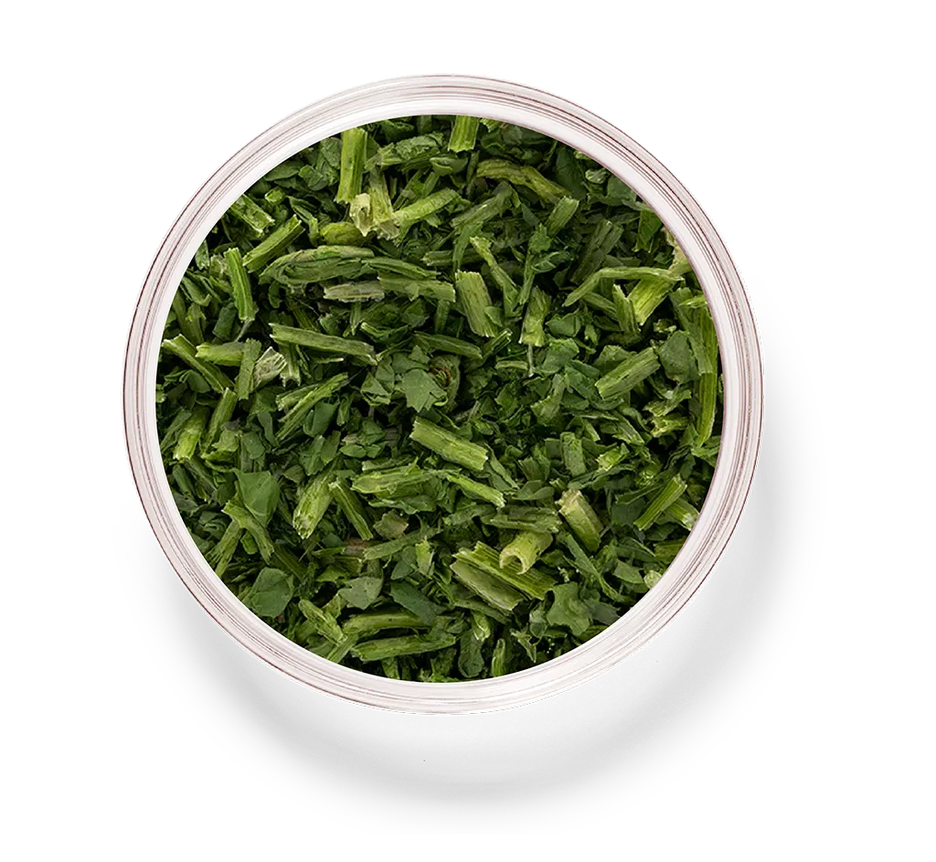 Dried Radishes_21_celery.png