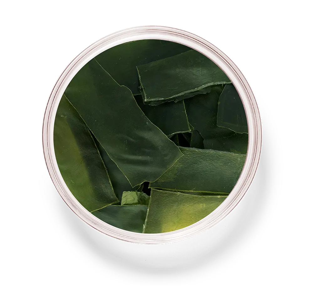 Dried Radishes_26_kelp.png