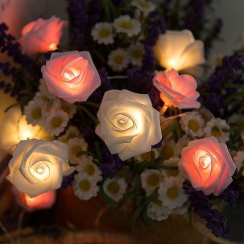 15609534