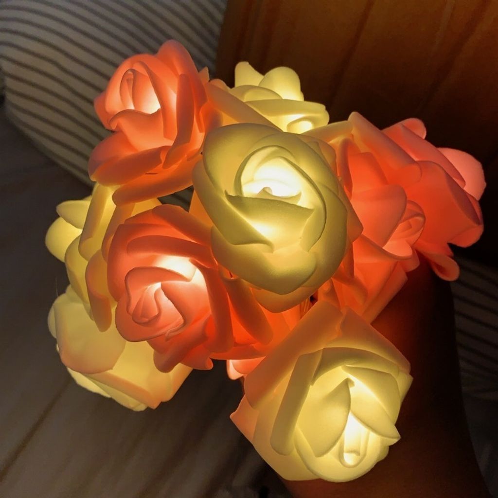 15609539