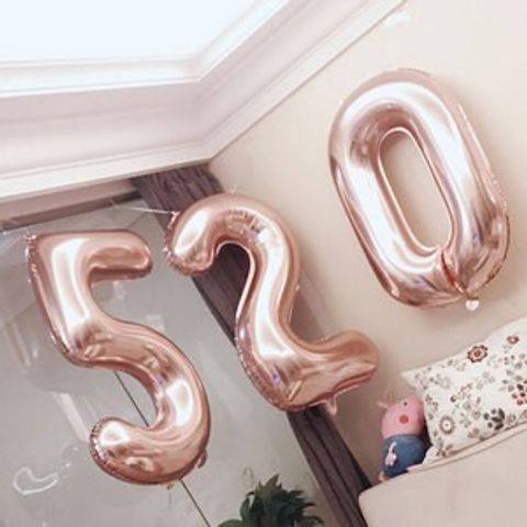 15609520