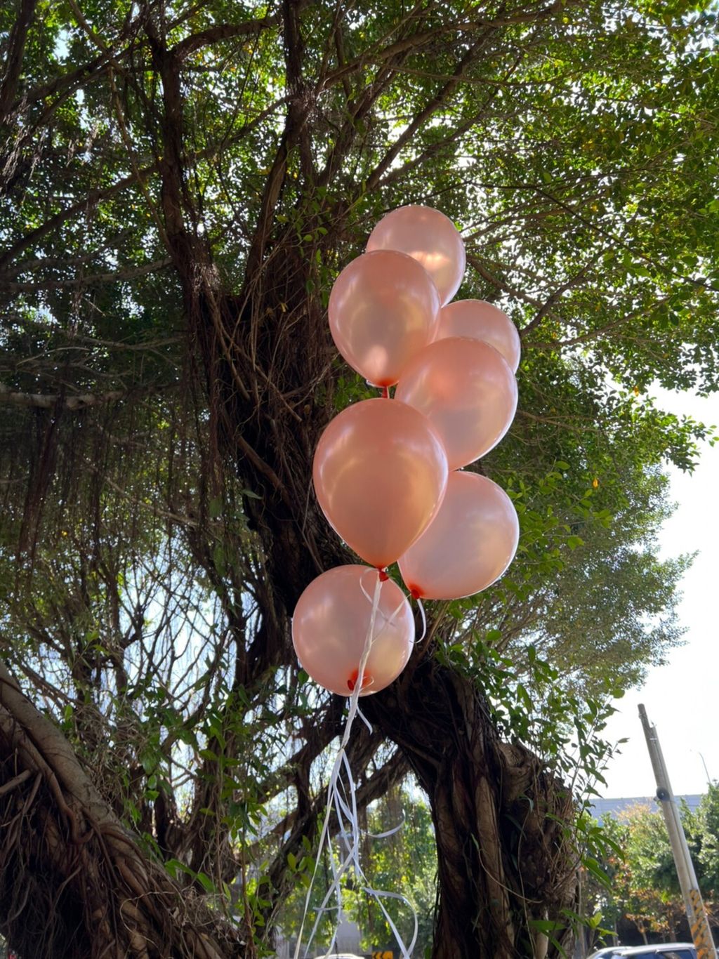 台北氣球 專賣 氦氣 空飄氣球串