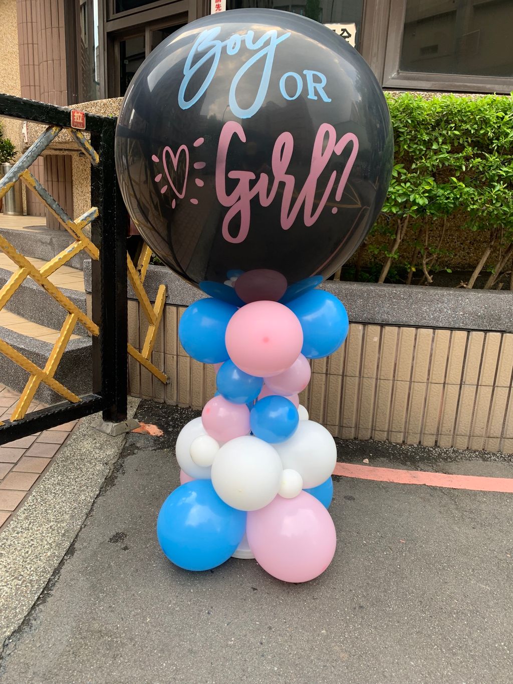 台北 性別氣球 派對佈置