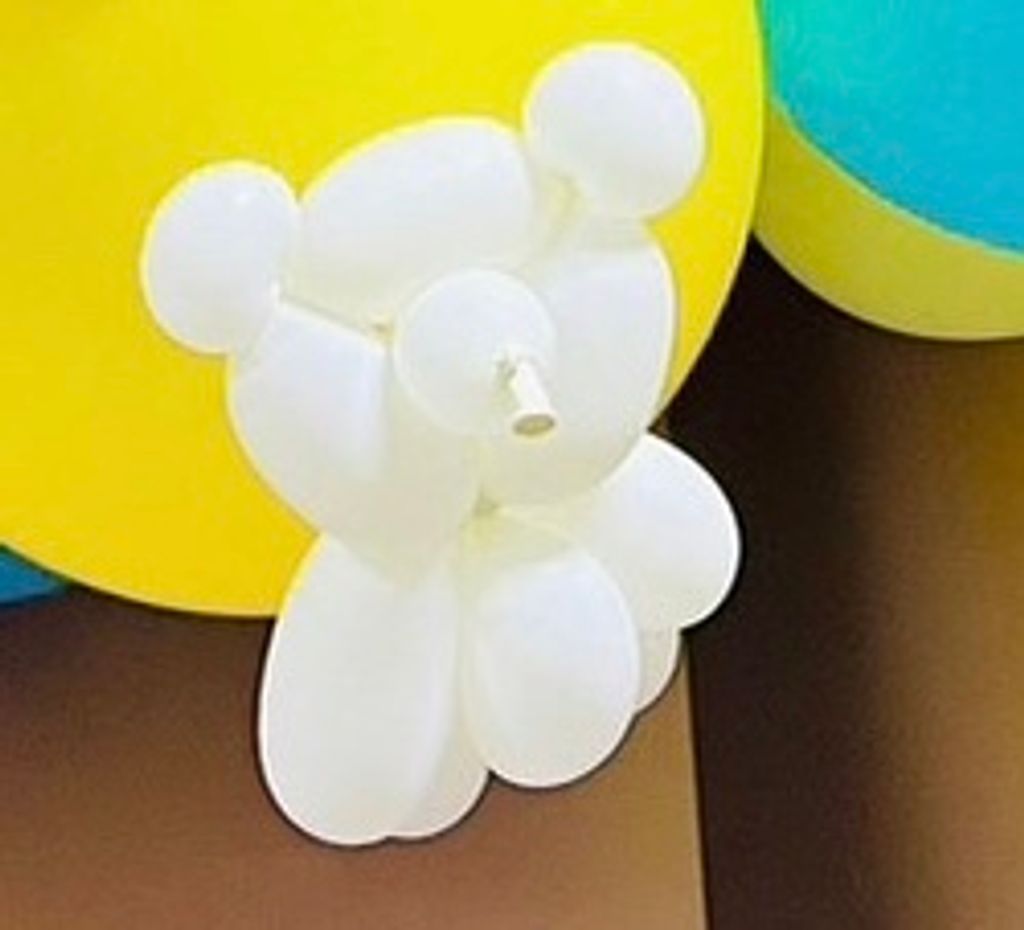 台中 造型氣球小熊 / 氣球花束