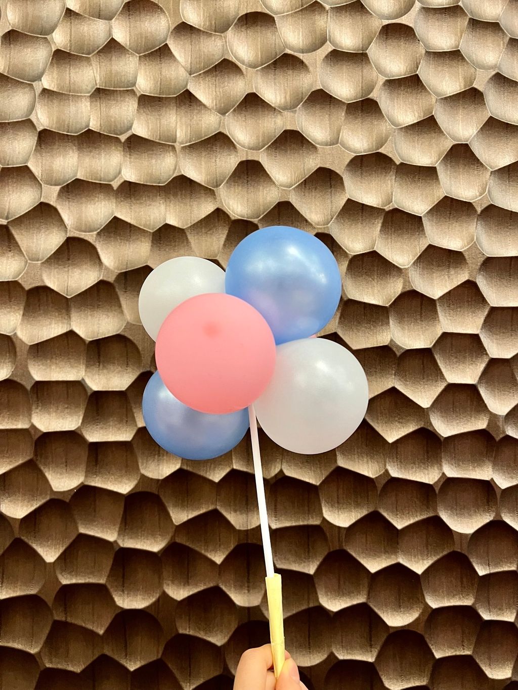 性別氣球怎麼做