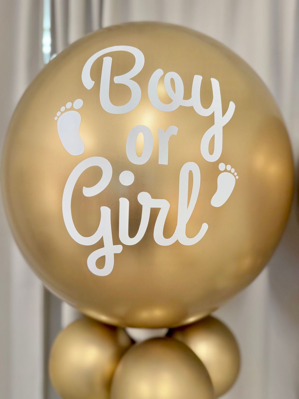 image_909A7A11-A323-477E-A028-82F9EF02F9AB_1770489616