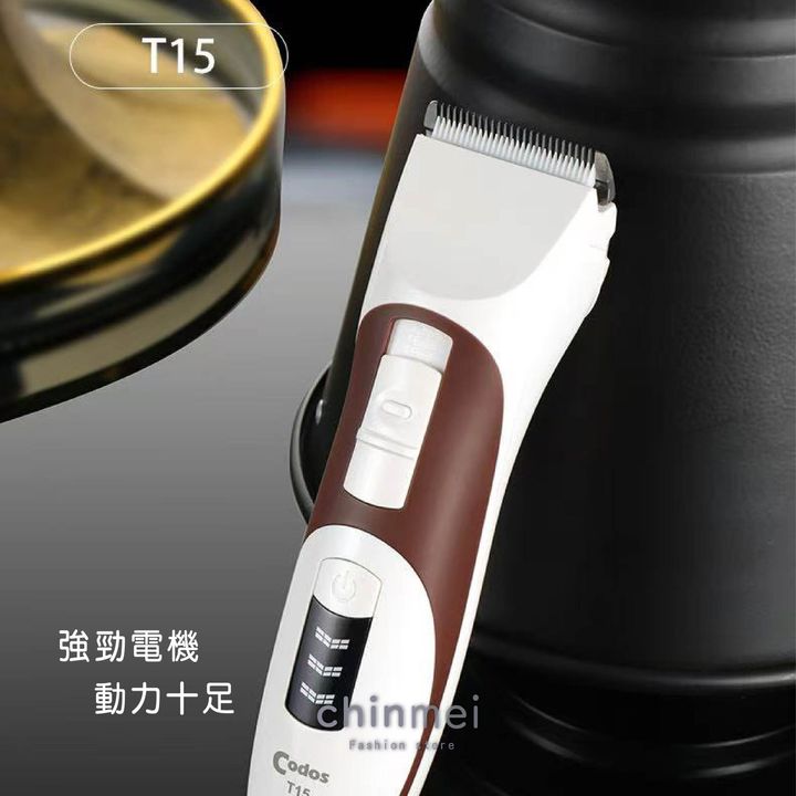 晴美-T15-02